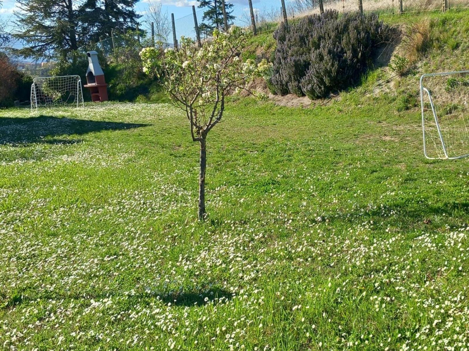 Appartamento La Casa Di Enzo E Lucia Urbino Esterno foto